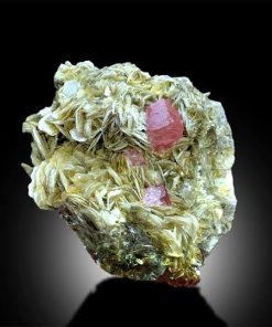 Natural Specimens