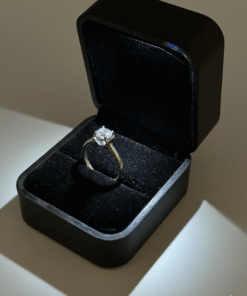 Noble Craft Silver Ring (925 Pure)