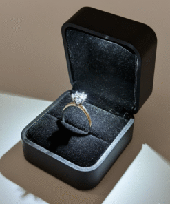 Legacy Gem Silver Ring (925 Pure)