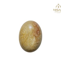 Natural Fossil Agate