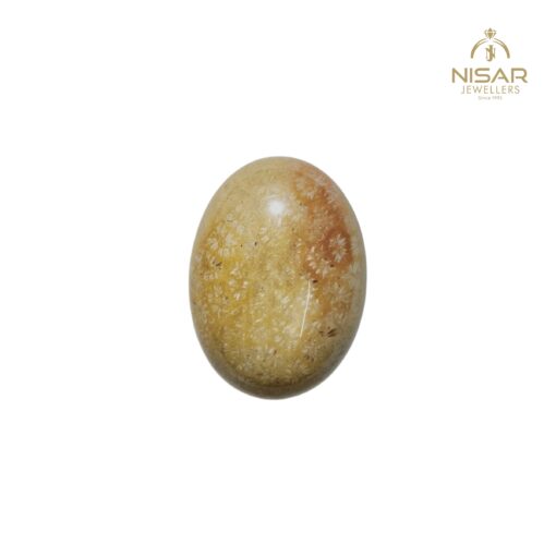 Natural Fossil Agate