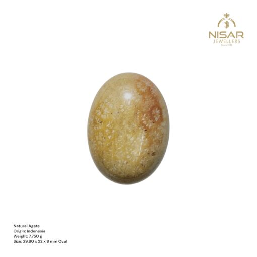 Natural Fossil Agate - Image 2